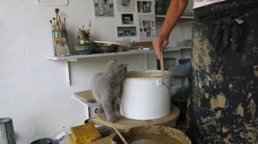 Mixing engobe (with Pelle, cat)