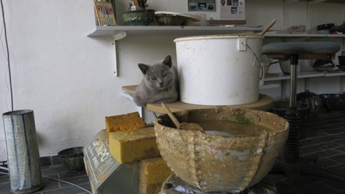 Nice place to rest