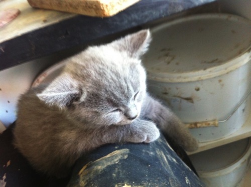 Gotta get some rest