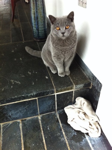 Who? me?
