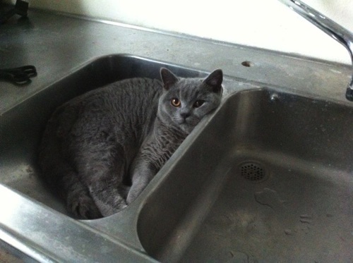 Nice place to rest